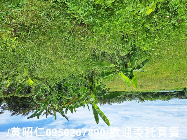 山上農地-5