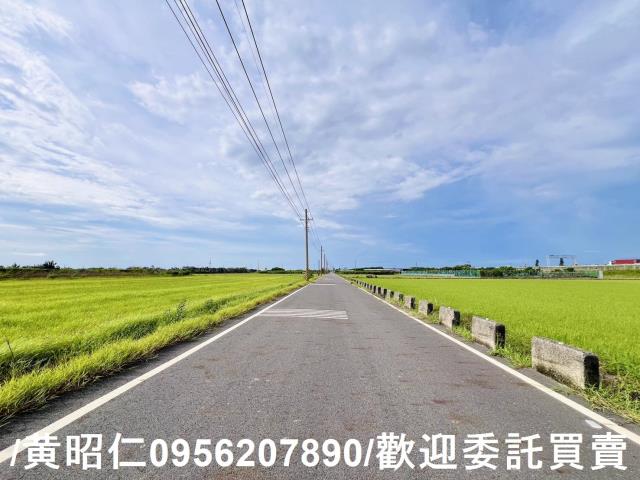 麻豆農地-1
