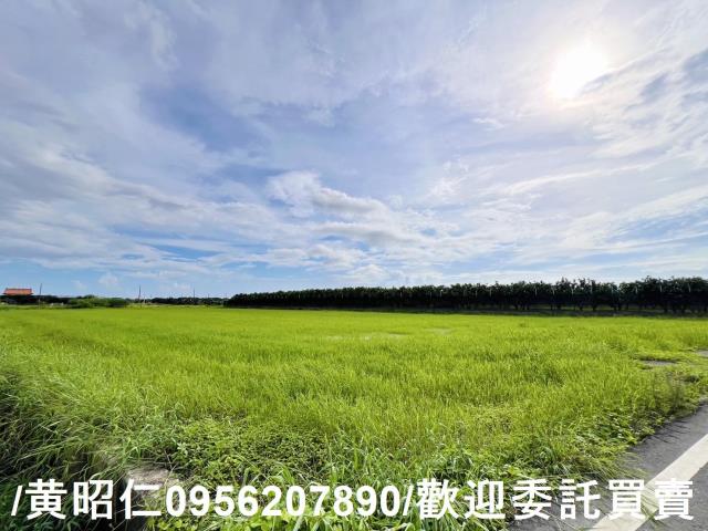 麻豆農地-7