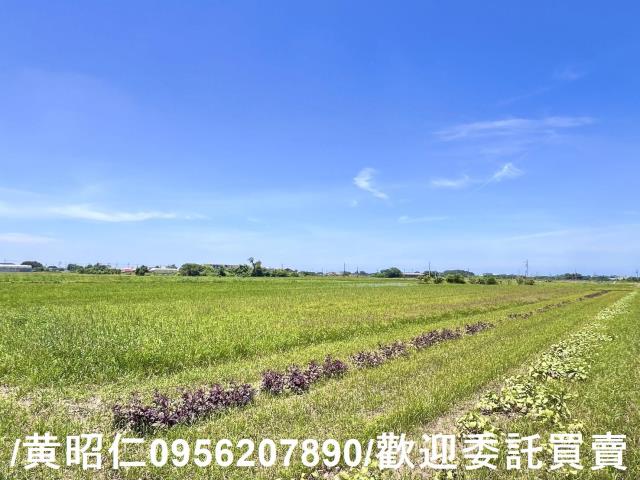 台南佳里農地-10