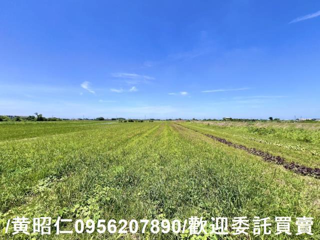 台南佳里農地-11