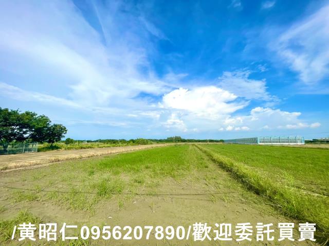 台南佳里農地-5