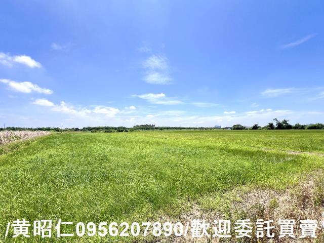 台南佳里農地-8