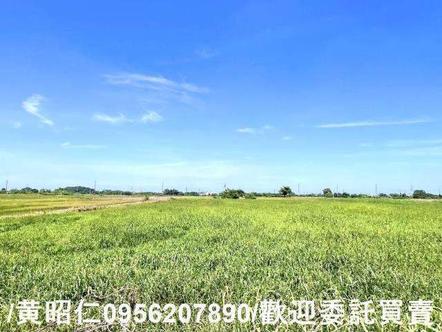 台南佳里農地-9