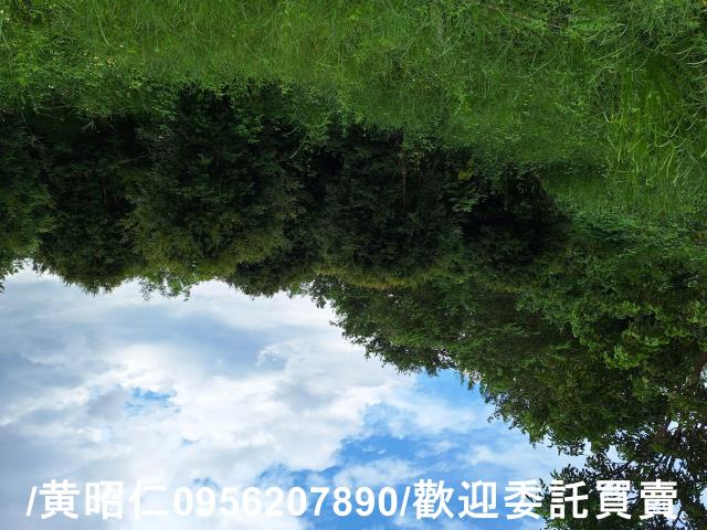 台南左鎮農地-3