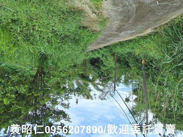 台南左鎮農地-4