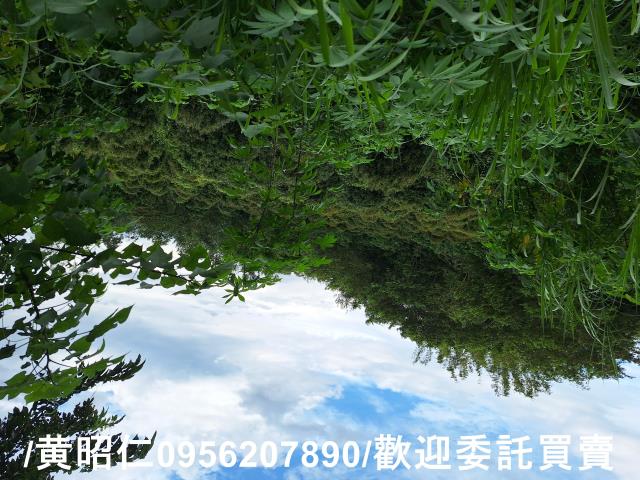 台南左鎮農地-7