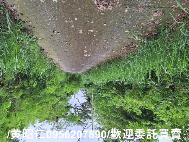 台南左鎮農地-1