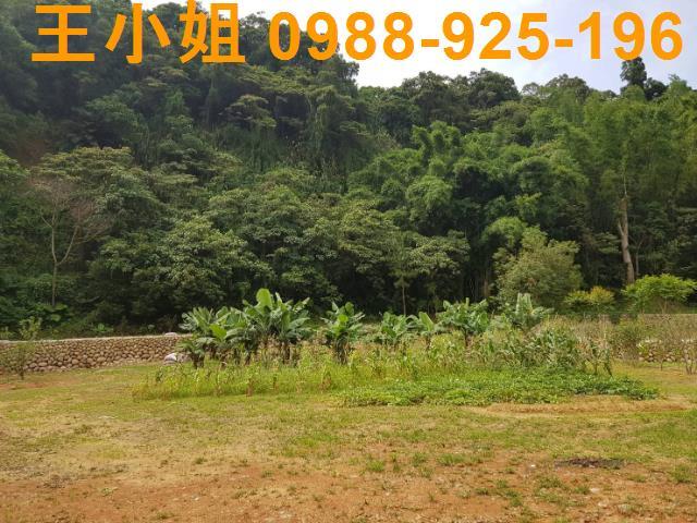 龍潭農地-10