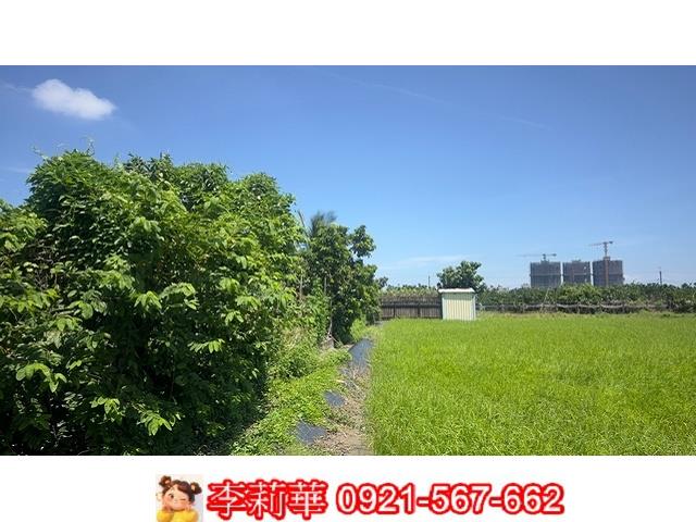 麻豆農地-10