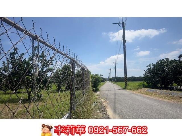麻豆農地-3