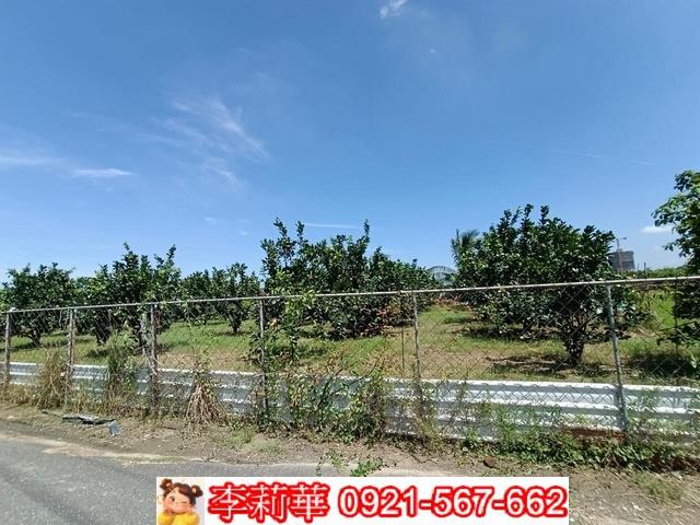 麻豆農地-5