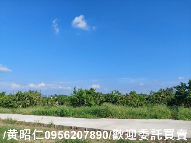 台南山上農地-4