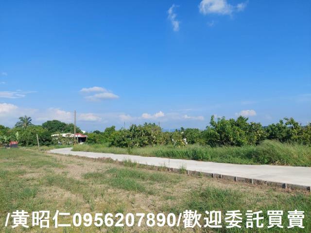 台南山上農地-5