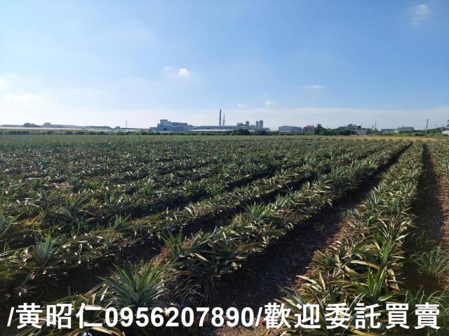 台南山上農地-6