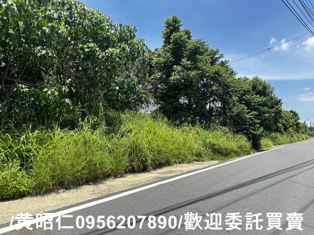 玉井農地-3