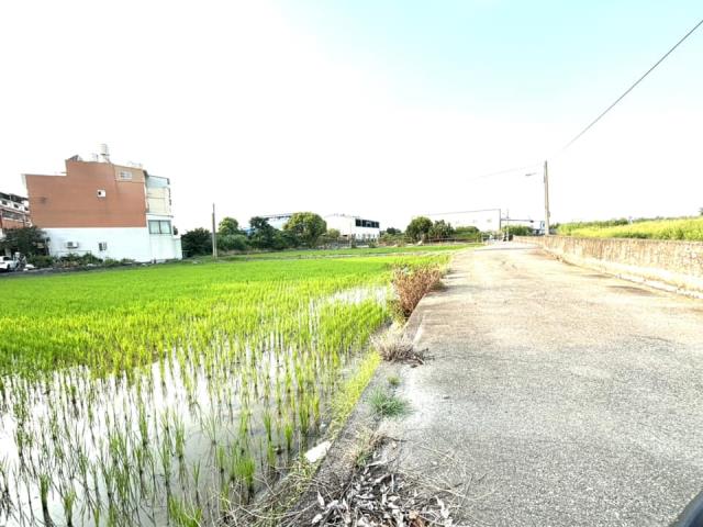 台中農地-5