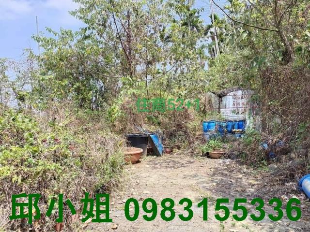 中埔農地-2