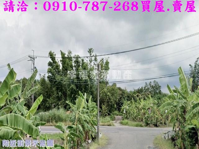 左鎮農地-4