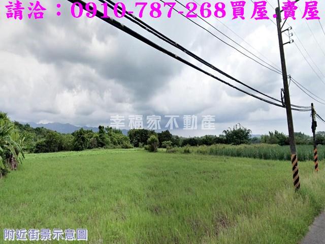 左鎮農地-6