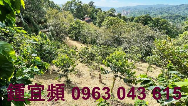 新竹橫山山坡地-6