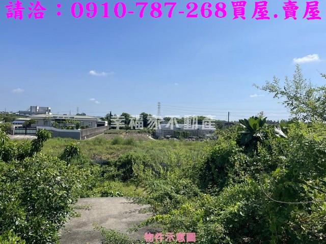 關廟農地-13