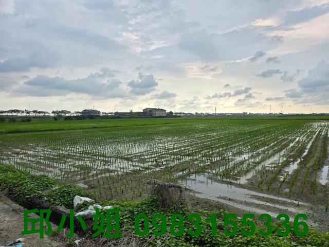 台南農地-1