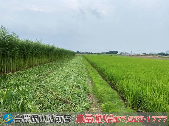 高雄橋頭農地-14