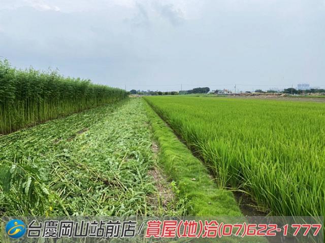 高雄橋頭農地-15