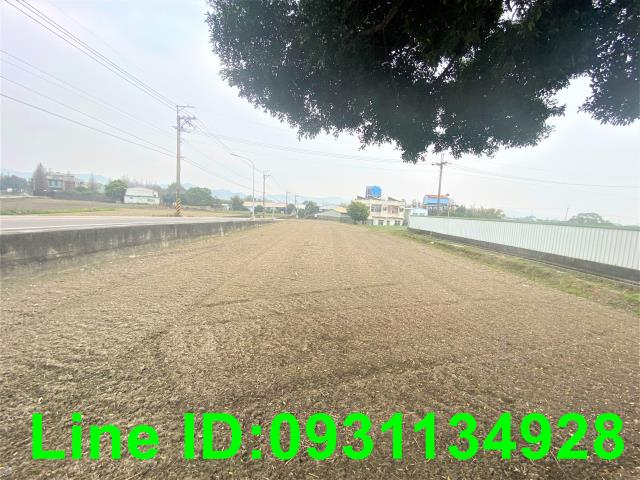 台中后里農地-3