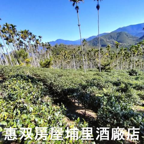 魚池農地-3