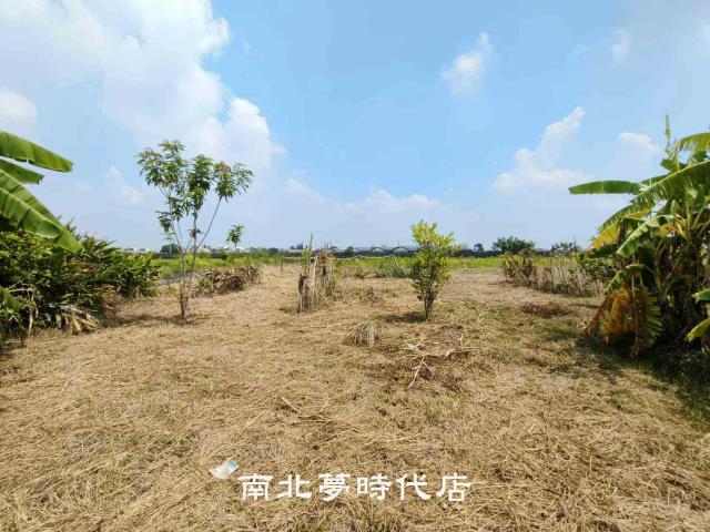 台南農地-3