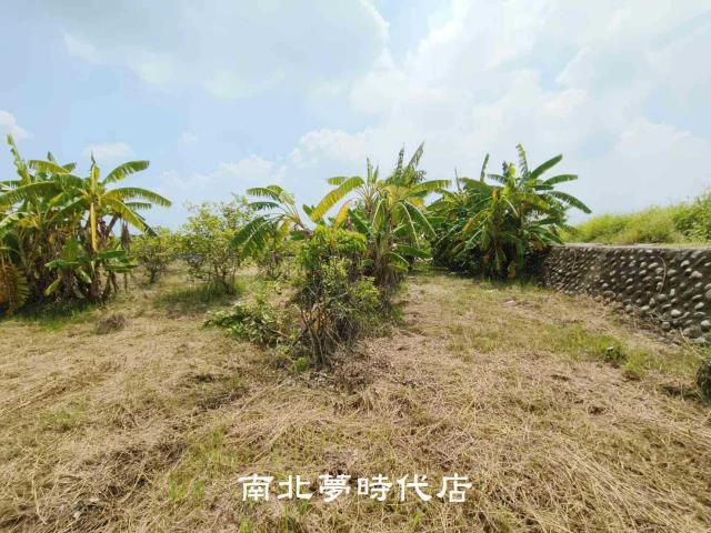 台南農地-4