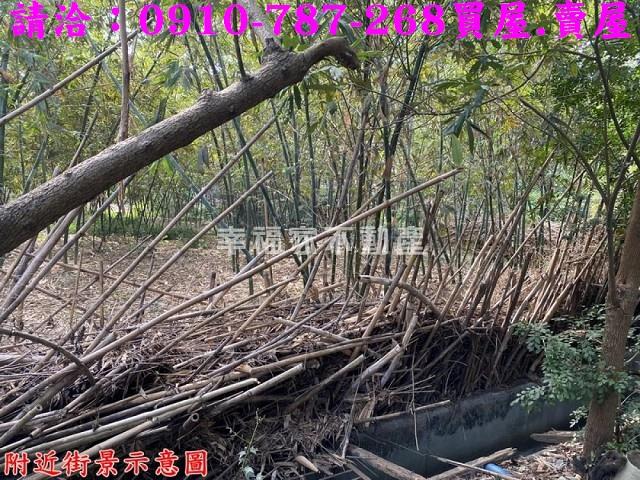 台南新化農地-12