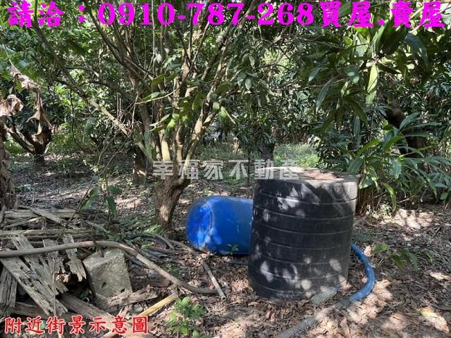 台南新化農地-5