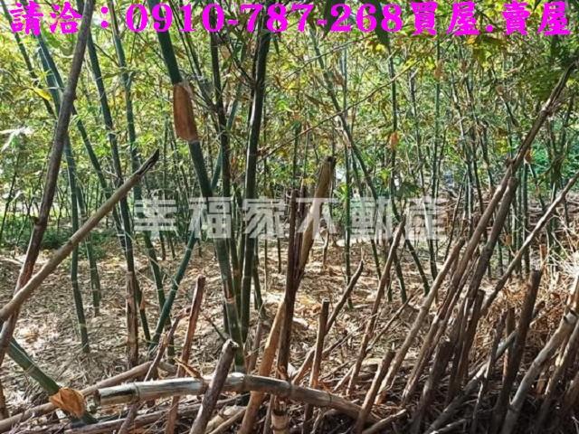 台南新化農地-6