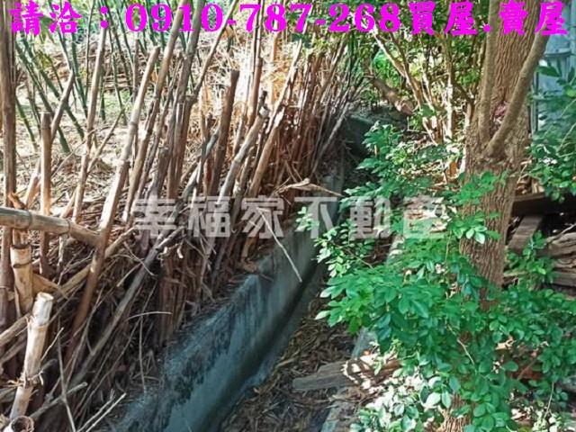 台南新化農地-7