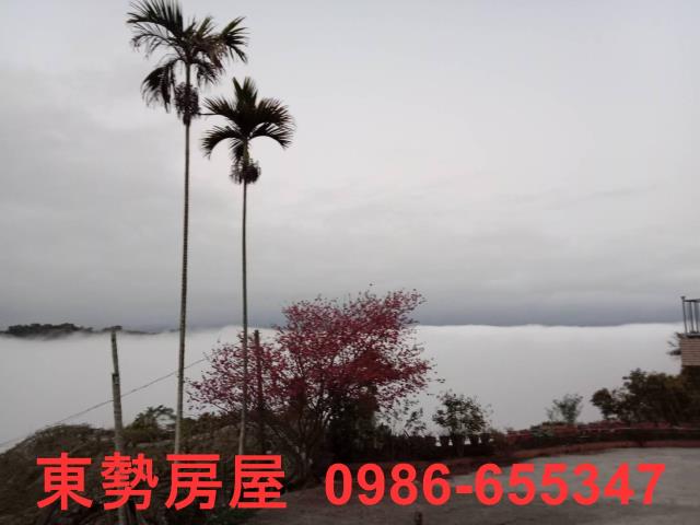 東勢農地-2