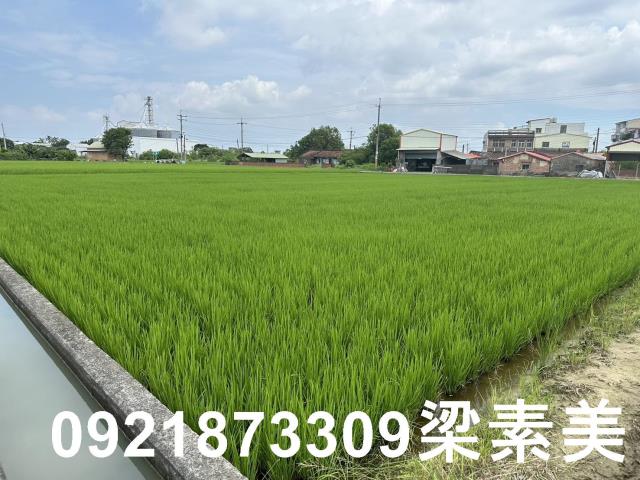 台南農地-12