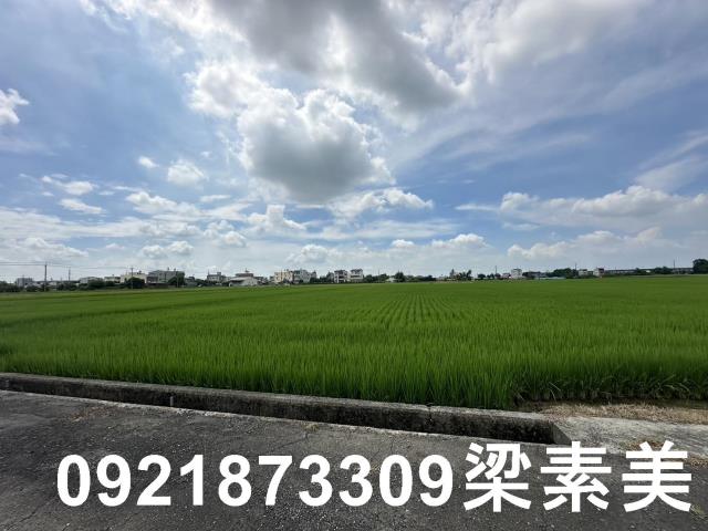台南農地-13
