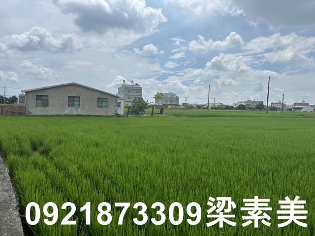 台南農地-8