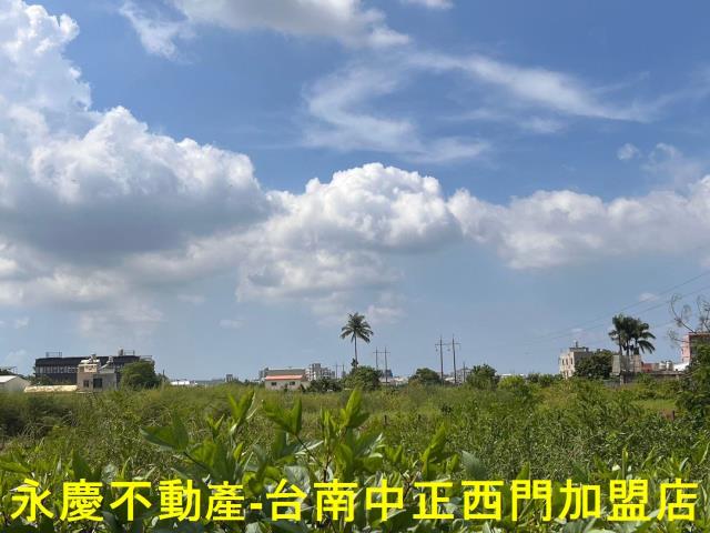 新市農地-1