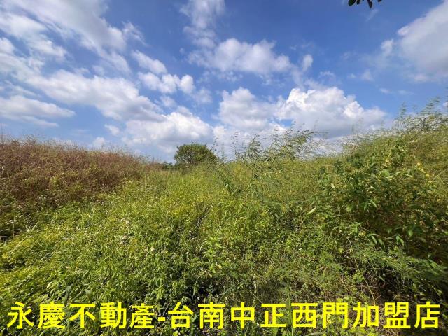 新市農地-2