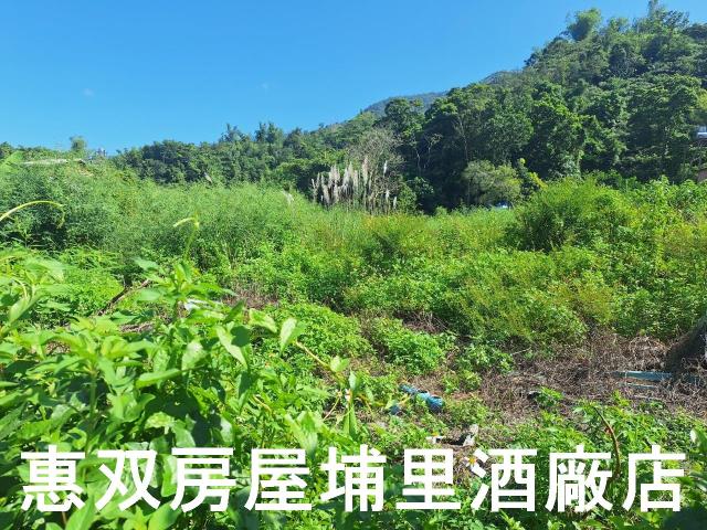 埔里農地-4