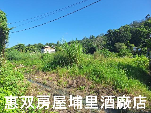 埔里農地-5