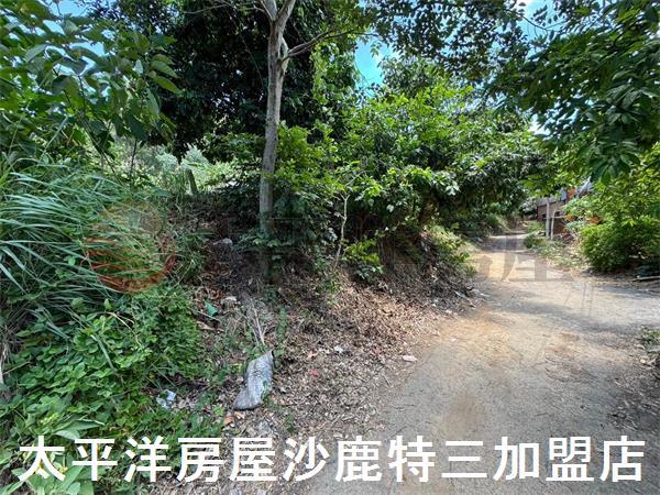 龍井農地-4