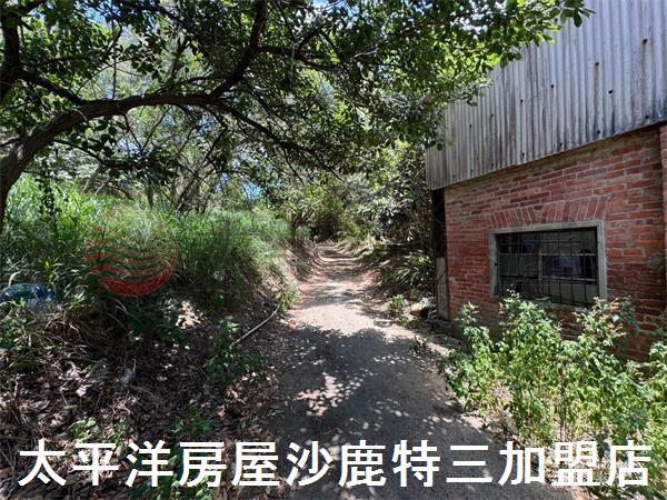 龍井農地-5