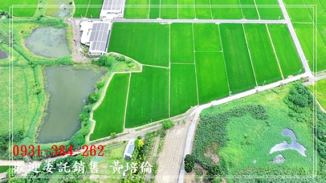 台南培倫房屋土地王