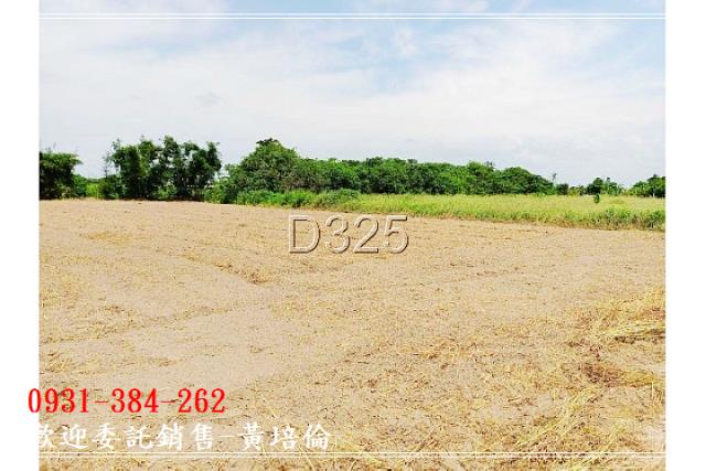 近蕭壠園區面寬農地