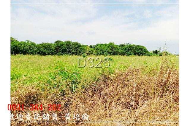 591黃培倫